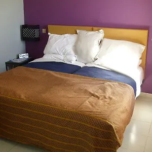 book here